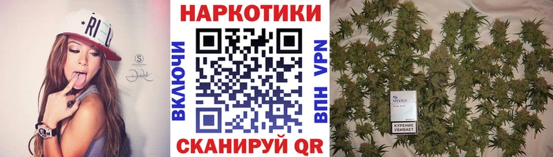 Купить закладку Канабис  Меф  LSD-25  ГАШИШ  Alpha PVP  Камышин