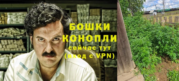 молекула духа Володарск