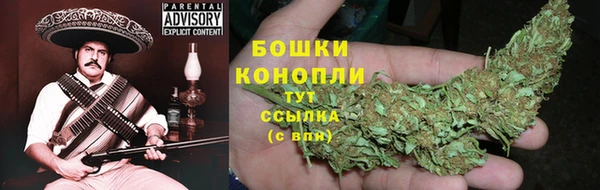 молекула духа Володарск