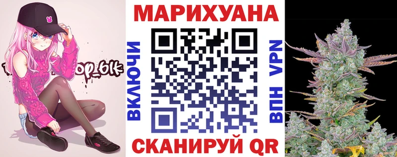 МАРИХУАНА план  Купить  Камышин 